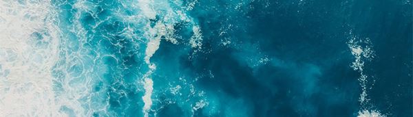 Почему возникает менопауза? Результаты нового исследования китов